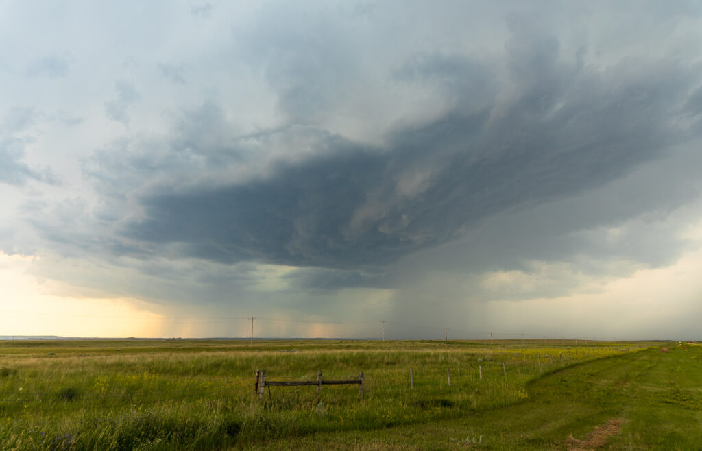 Buffalo Mesocyclone