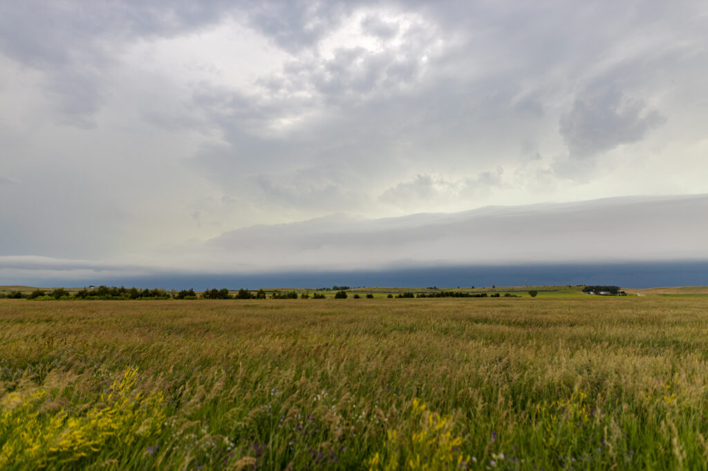South Dakota Shelf